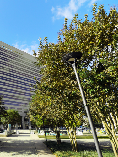 Photo of the Charlotte-Mecklenburg Government Center.